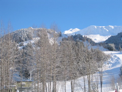 Alaska 2005 - 095